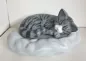 Preview: Katze auf Wolke Beispiel Fotovorlage grau getigert