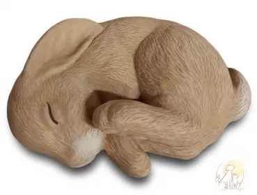 Tierurne Kaninchen schlafend Gesamtübersicht, Beispiel nach Fotovorlage