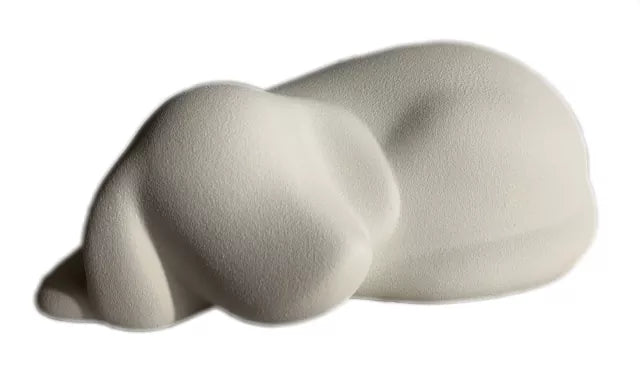 Schlafender Hund weiß
