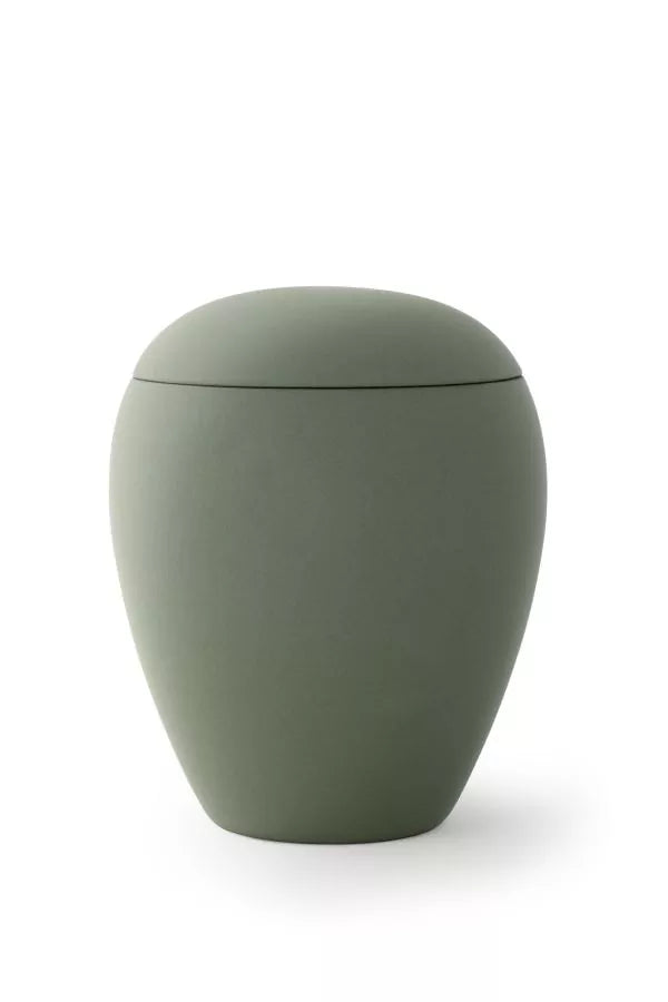 Siena olive