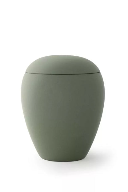 Siena olive