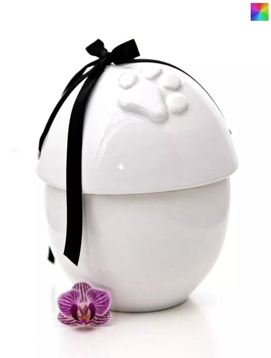 Tierurne Anjo mit schwarzem Band und Deckelmotiv Pfote