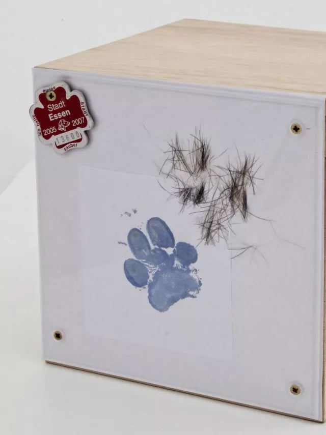 Erinnerungsbox Branka mit Haaren, Pfotenabdruck, Marke (Anwendungsbeispiel)