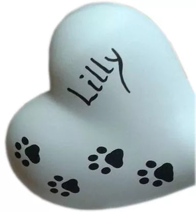 Beispiel Lilly + 4 Pfötchen