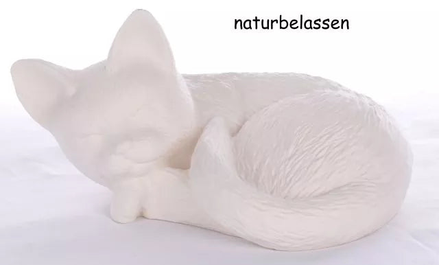 Katze liegend naturbelassen zur Weiterverarbeitung