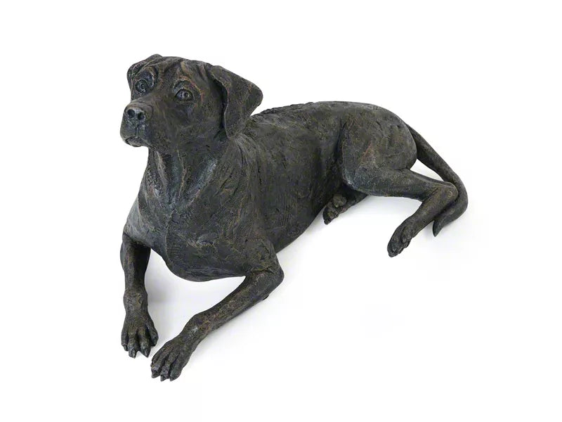 Kunstharzurne Rhodesian Ridgeback, Ansicht oberhalb
