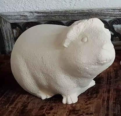 Meerschweinchen naturbelassen