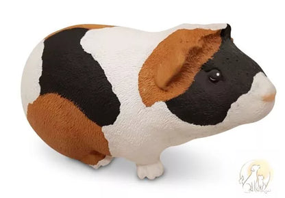 Meerschweinchen nach Fotovorlage