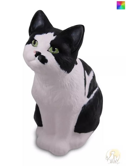 Katze nach Fotovorlage