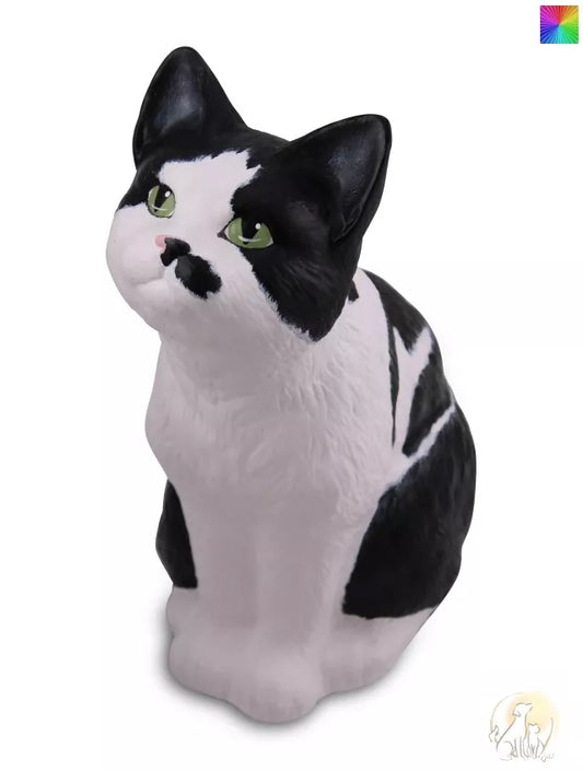 Katze nach Fotovorlage