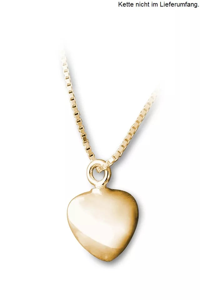 Ascheschmuck klein Herz