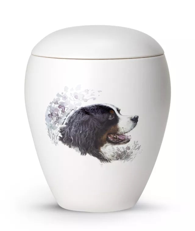 Motiv Berner Sennenhund