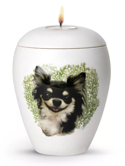 Motivurne Chihuahua mit Gedenklicht