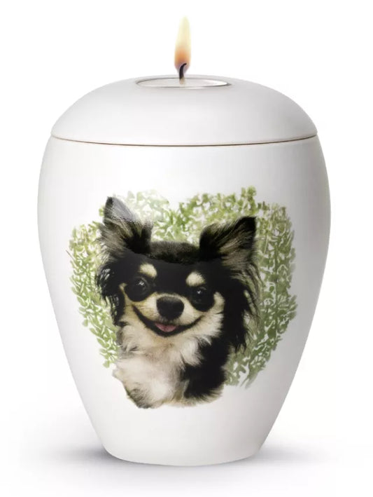 Motivurne Chihuahua mit Gedenklicht