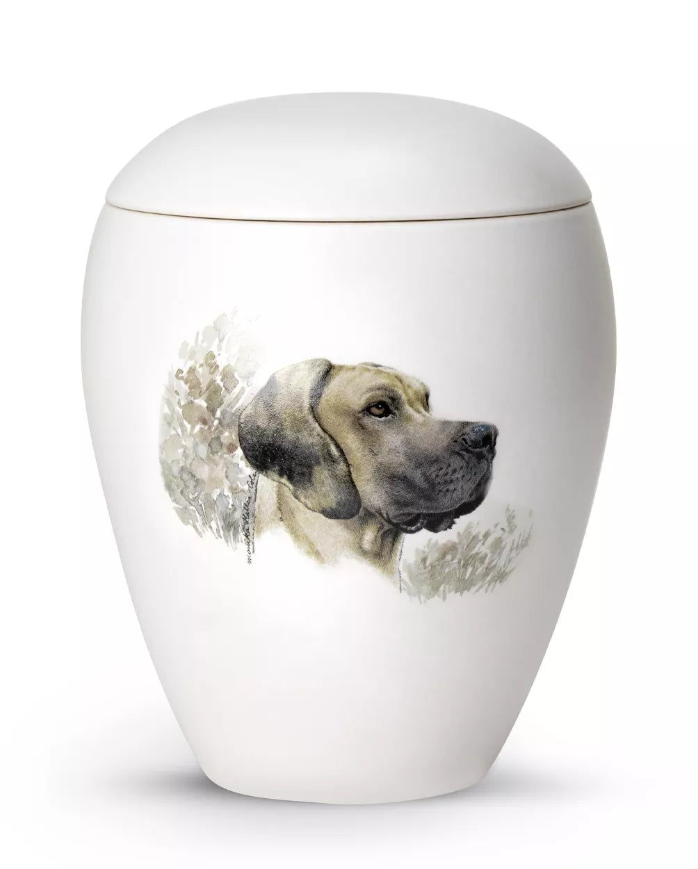 Motiv Dogge