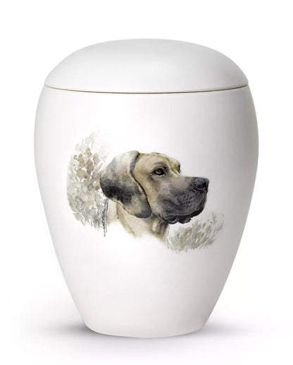 Motiv Dogge
