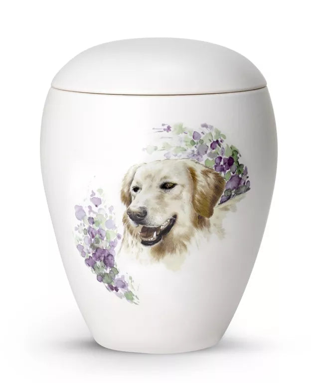 Motiv Golden Retriever