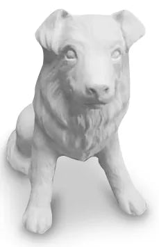 Hund naturbelassen