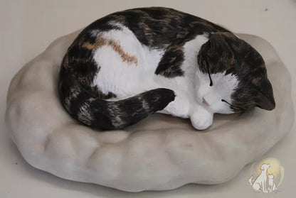 Katze auf Wolke Beispiel Fotovorlage