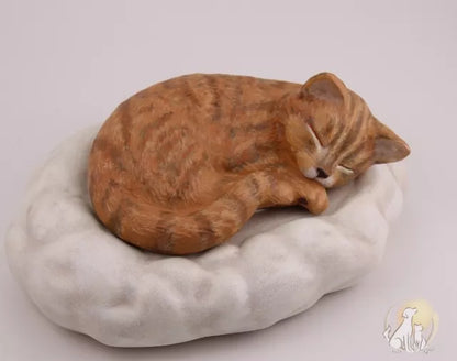 Katze auf Wolke Beispiel Fotovorlage rot getigert
