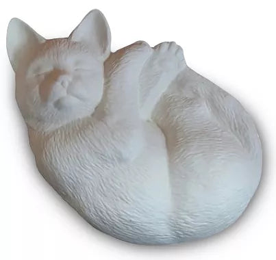 Katze naturbelassen