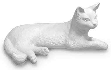 Katze naturbelassen