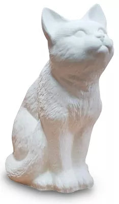 Katze naturbelassen