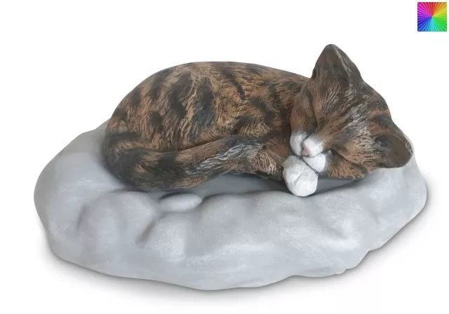 Katze auf Wolke Beispiel Fotovorlage braun getigert