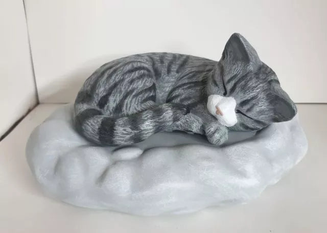 Katze auf Wolke Beispiel Fotovorlage grau getigert