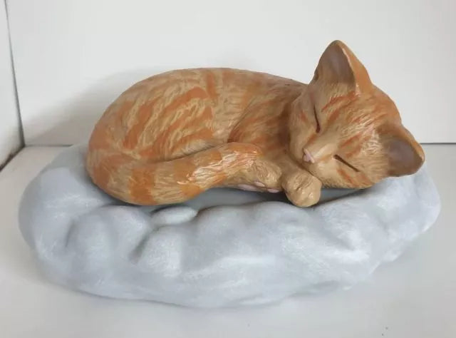 Katze auf Wolke Beispiel Fotovorlage rot getigert