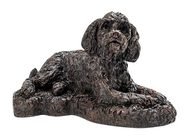 Kunstharzurne Cockapoo Ansicht seitlich