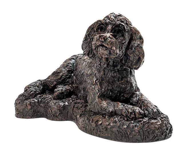Kunstharzurne Cockapoo Frontansicht