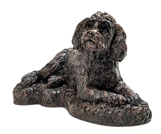 Kunstharzurne Cockapoo Frontansicht