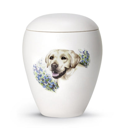 Motiv Labrador 1