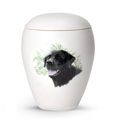 Motiv Labrador 2
