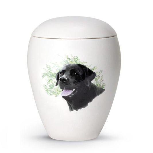 Motiv Labrador 2