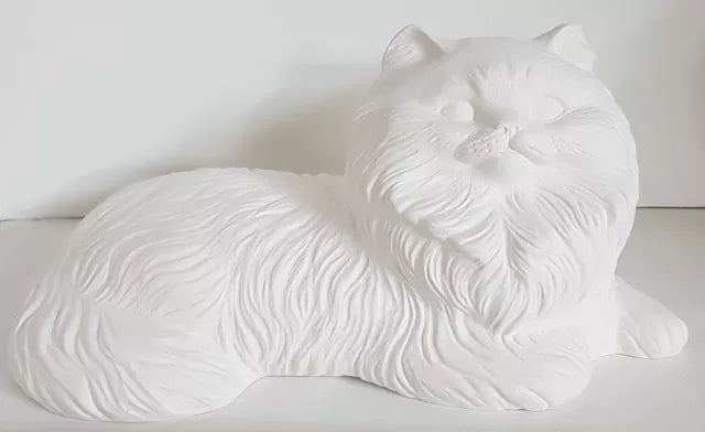 Tierurne Langhaarkatze liegend naturbelassen