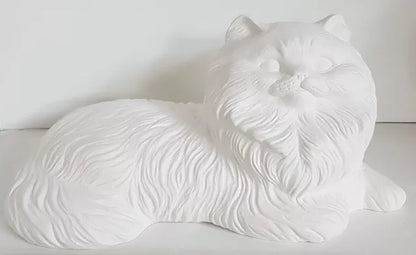 Tierurne Langhaarkatze liegend naturbelassen