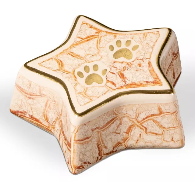 Design-Sternurne creme