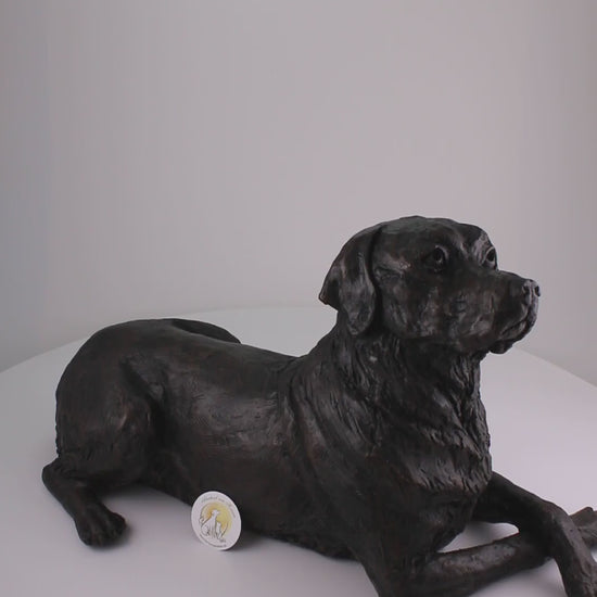 Kunstharzurne Labrador-Skulptur Produktvideo 