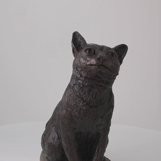 Sitzende Katzenurne aus Kunstharz in antik Bronze im Produktvideo