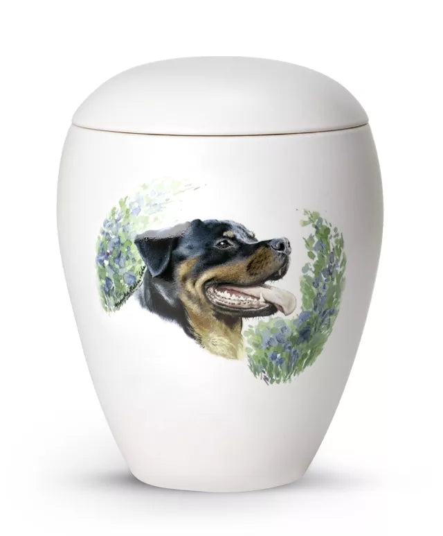 Motiv Rottweiler