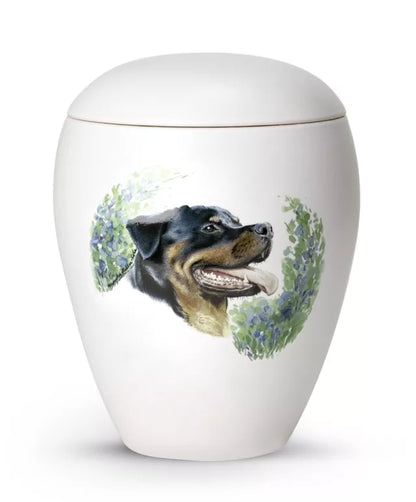 Motiv Rottweiler
