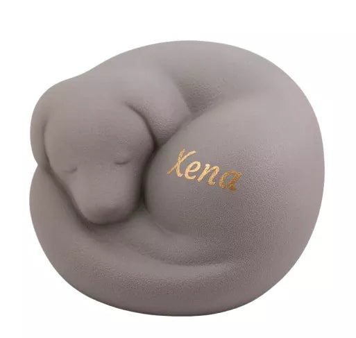 Beispiel einer Folienbeschriftung Name Xena in goldfarben auf Art.Nr. 830023