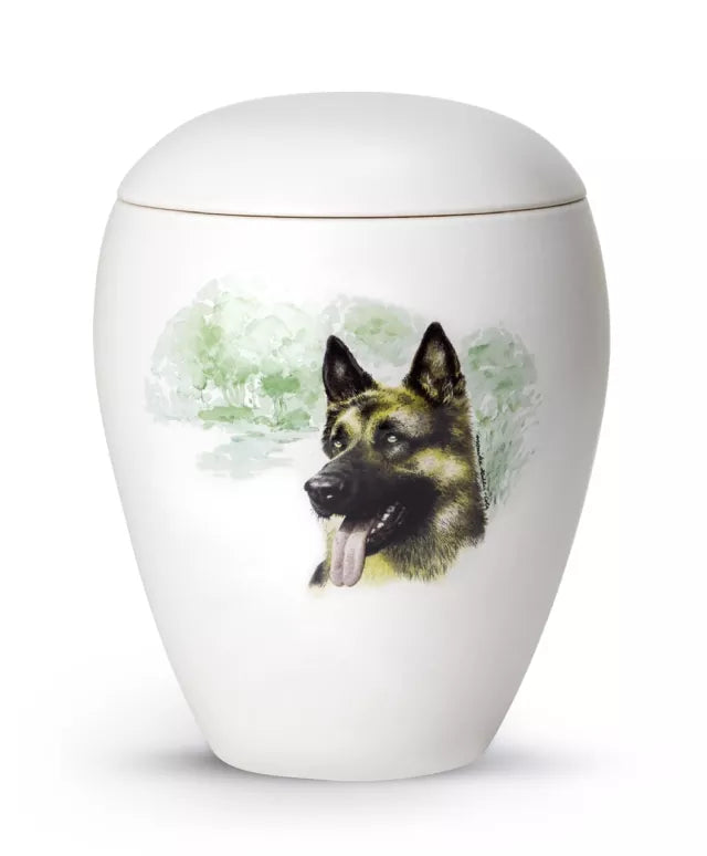 Motiv Schäferhund