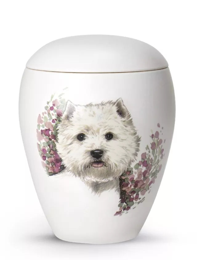Motivurne Terrier