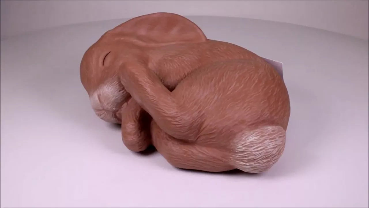 Produktvideo Tierurne Kaninchen schlafend