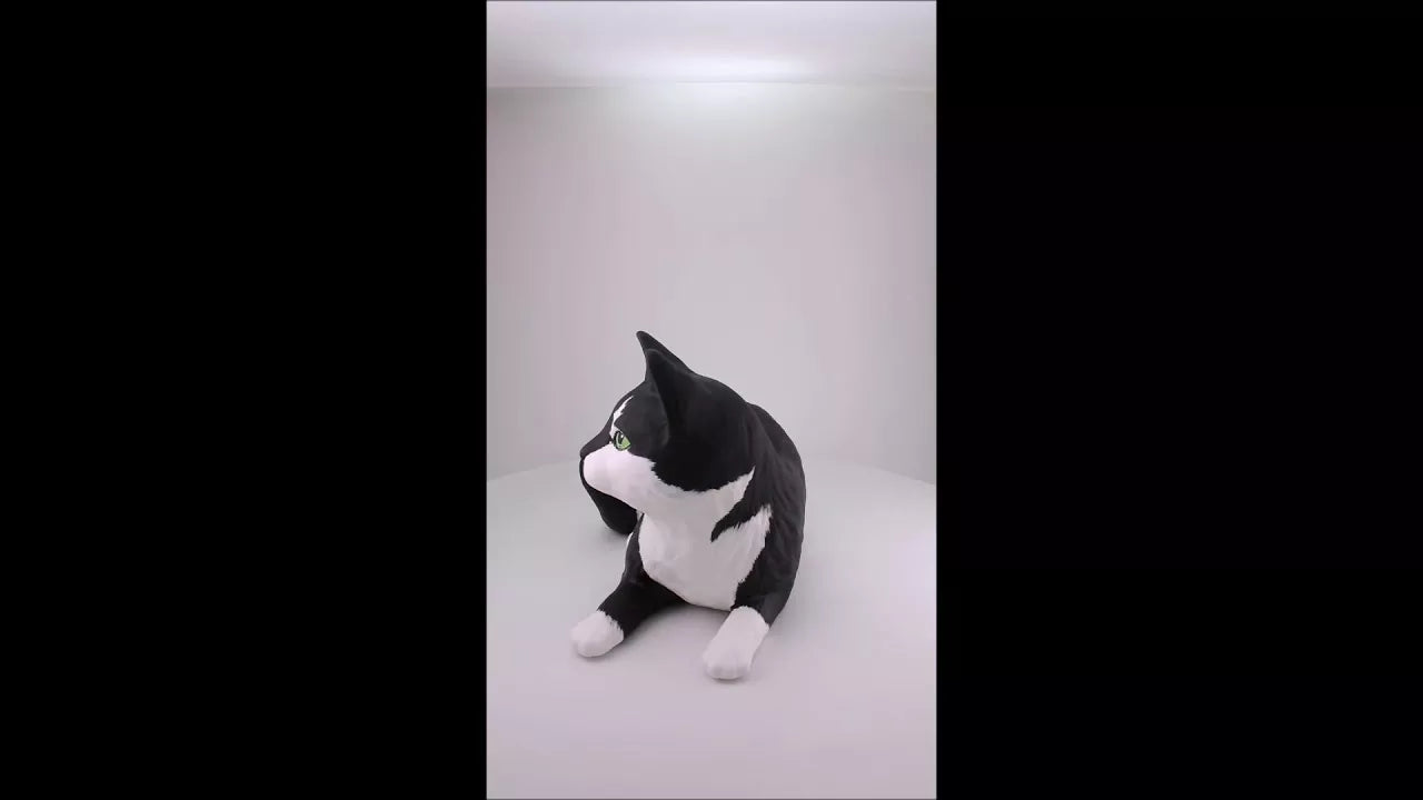 Produktvideo Katzenurne nach Fotovorlage