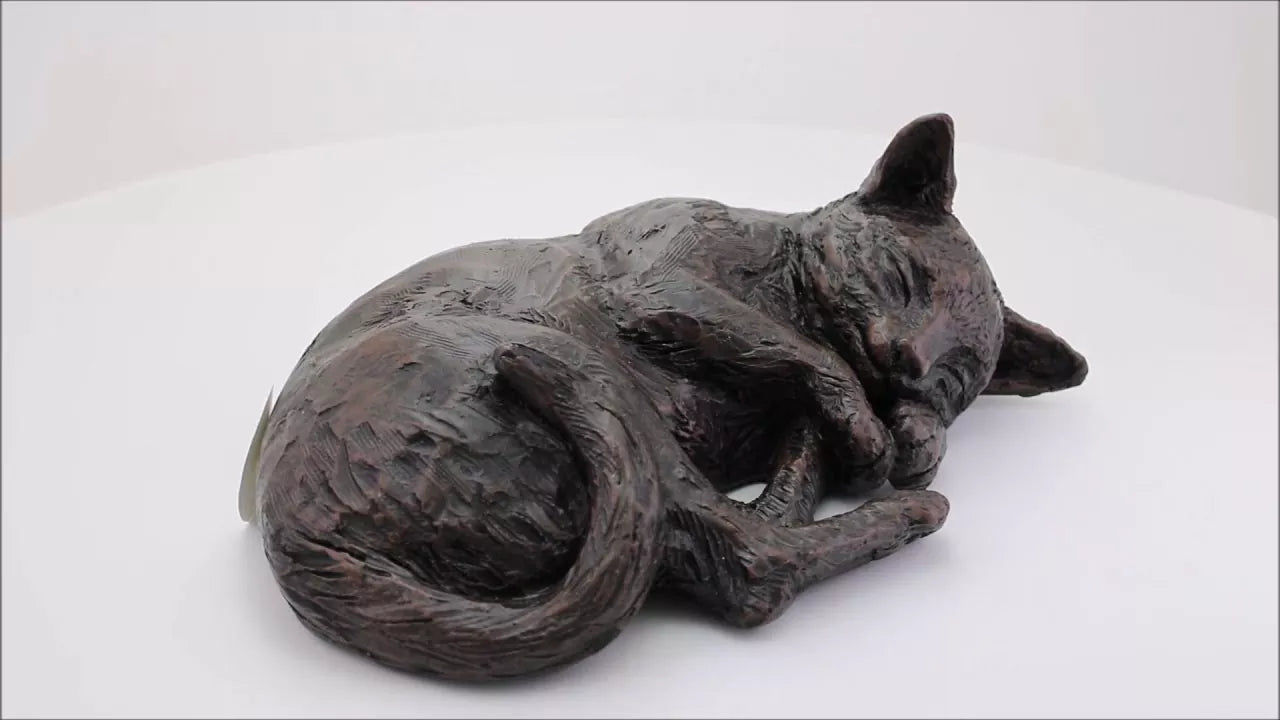 Produktvideo Katzenurne ruhende Katze