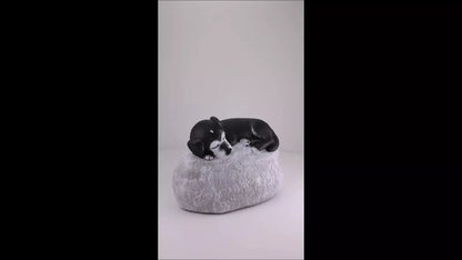 Produktvideo Tierurne Hund auf Stein nach Foto bemalt